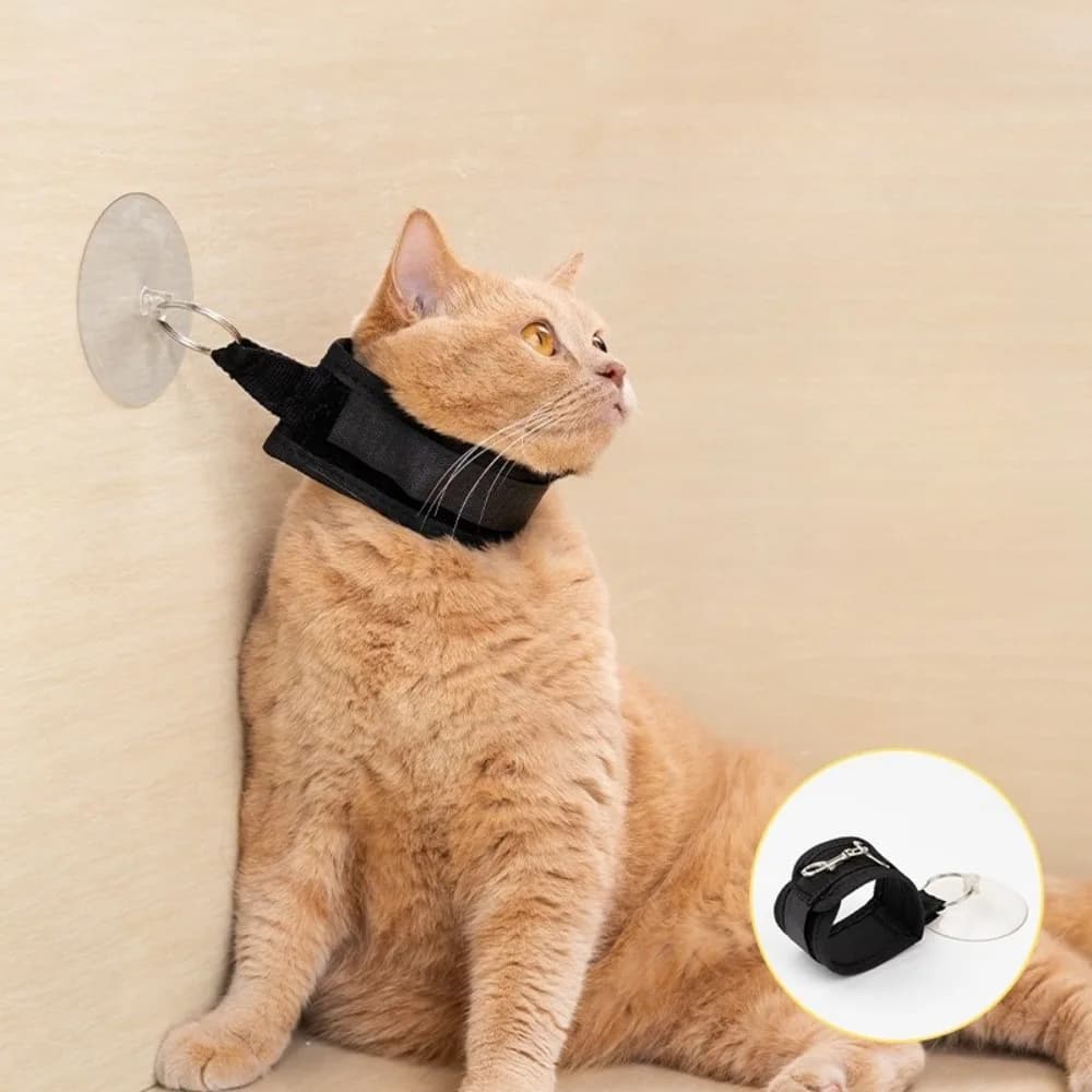 Passanti per toelettatura animali domestici Fissatore per il bagno del cane Corda di trazione Gancio per ventosa di ritenuta regolabile per gatti Accessori per il bagno per doccia per animali domestici