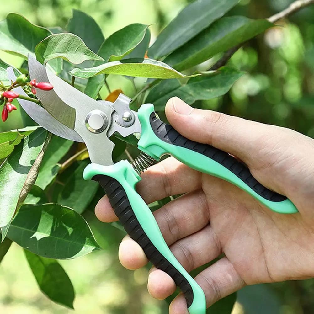 Forbici Professionali da Giardinaggio in Acciaio Inossidabile per Potatura Rami, Alberi da Frutto, Fiori, Utensili per Potatura Domestica