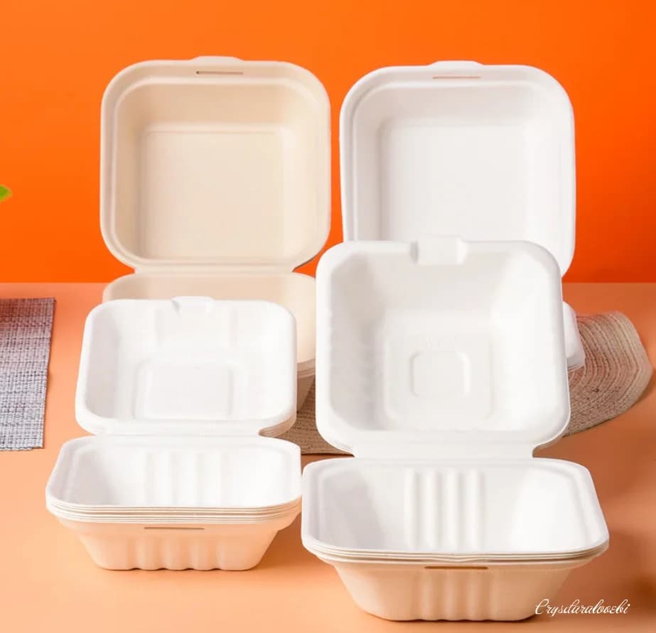 50 pz Scatola Da Pranzo Usa E Getta Eco-Friendly Bento Box Contenitore Da Forno Frutta Hamburger Torta Pasto Preparazione Imballaggio Contenitore Per Alimenti
