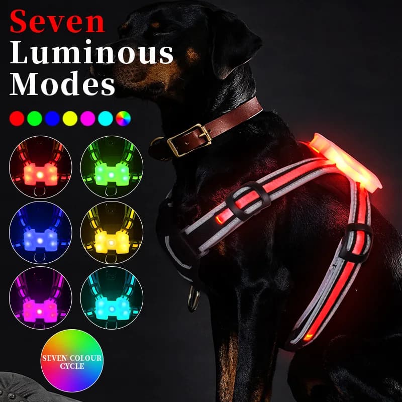 Pettorina per cani a LED Collare impermeabile lampeggiante regolabile ricaricabile per animali domestici Collare per cani luminoso anti-smarrimento notturno