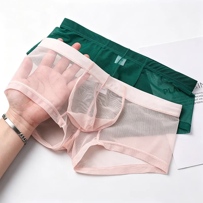 Men's Sheer Mesh Boxer Shorts Breathable See-Through Low Rise Comfortable Underwear Multicolor Available