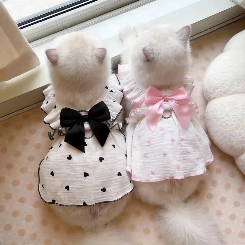 Abiti e vestiti per cani e gatti, inclusi abiti primaverili ed estivi per Teddy Bear, Pomeranian e Pomeranian Rbeed