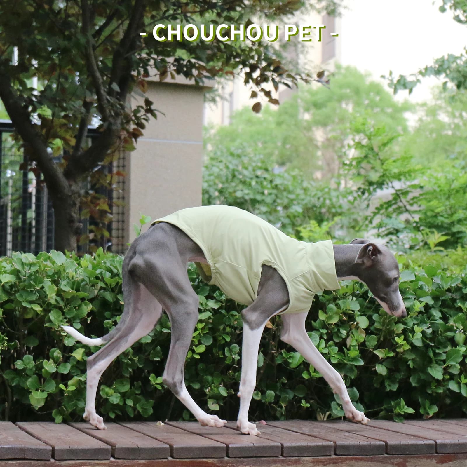 Gilet da esterno verde estivo con protezione solare Ice Sense Galgo italiano Whippet adatto per vestiti per cani di piccola e media taglia