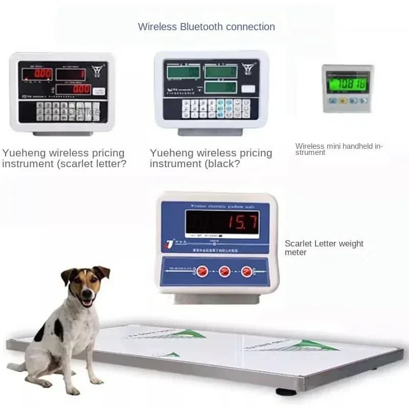 Animal Wireless Bluetooth Floor Scale, Pet Shop Electronic Scale, Farm Grooming and Health Weighing
