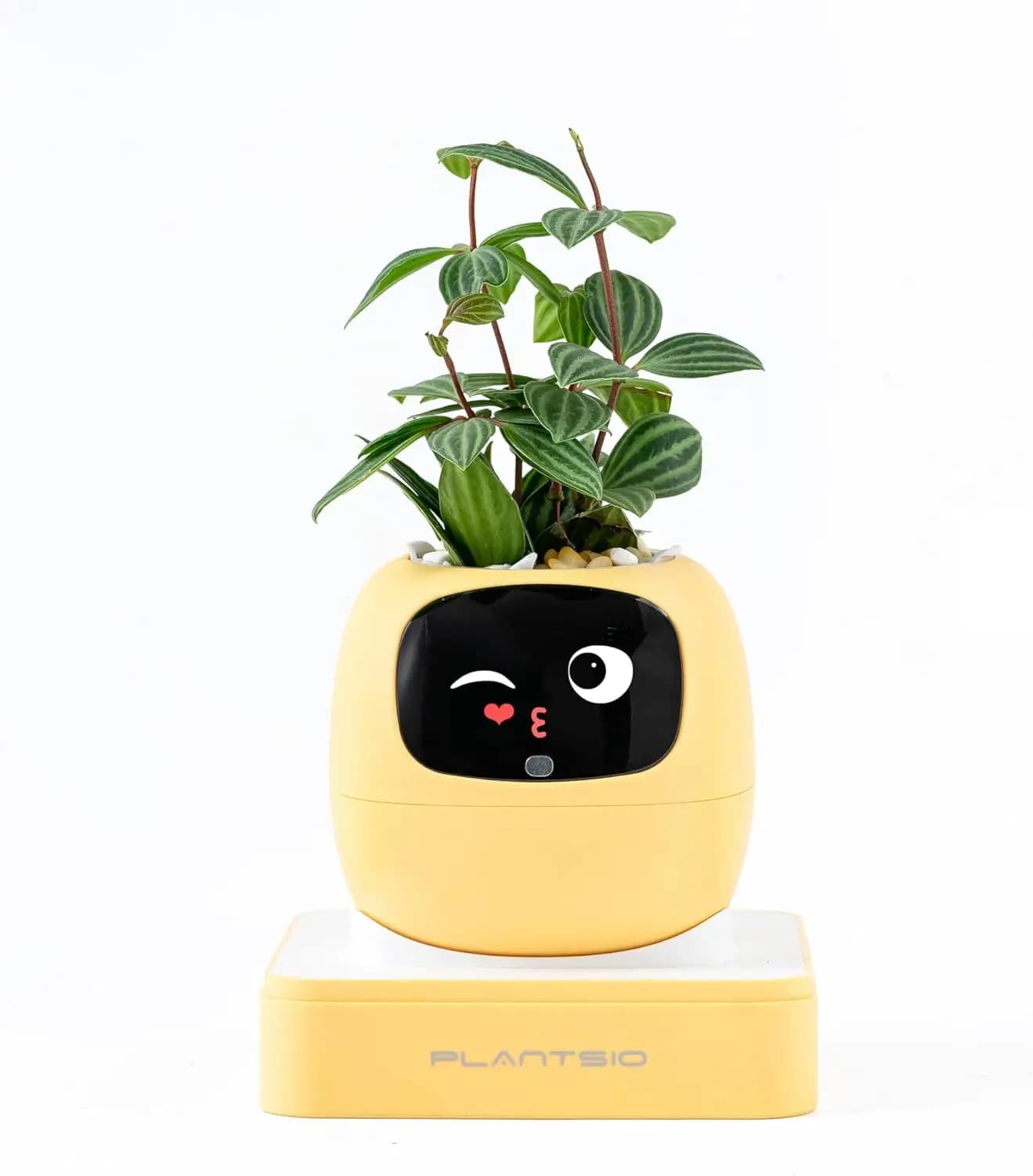 Vaso Intelligente Ivy AI con Robot Piantatore Intelligente per Piante da Interno, Vaso per Fiori Tamagotchi Elegante