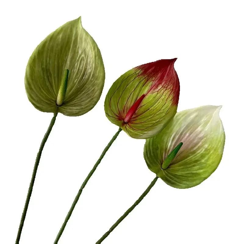 10 pezzi di fiori artificiali 3D stampati Alocasia Amazonica ramo fenicottero giglio tocco reale grande pianta di anthurium