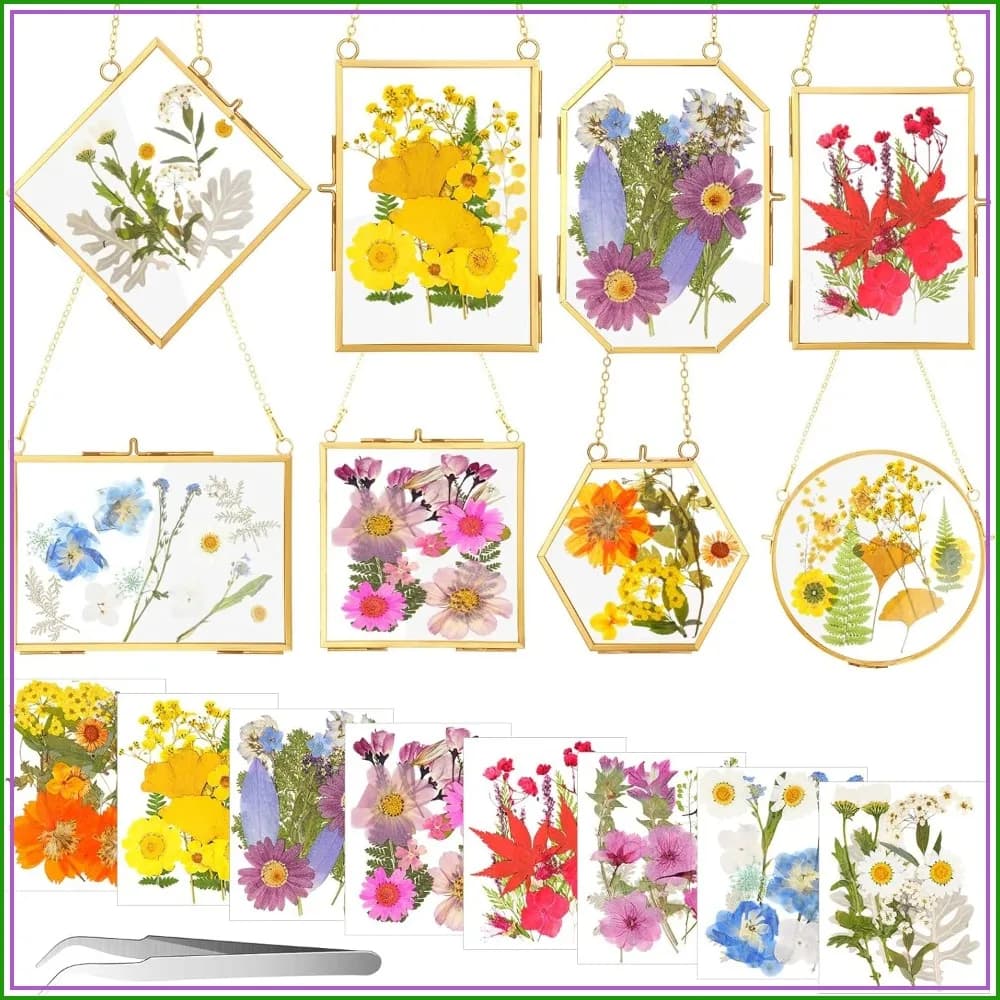8 Set Double Glass Pressed Flower Frames with Dried Flowers, 8 Shapes Wall Hanging Photo Picture Frame Gift for Home Decor Plant Display