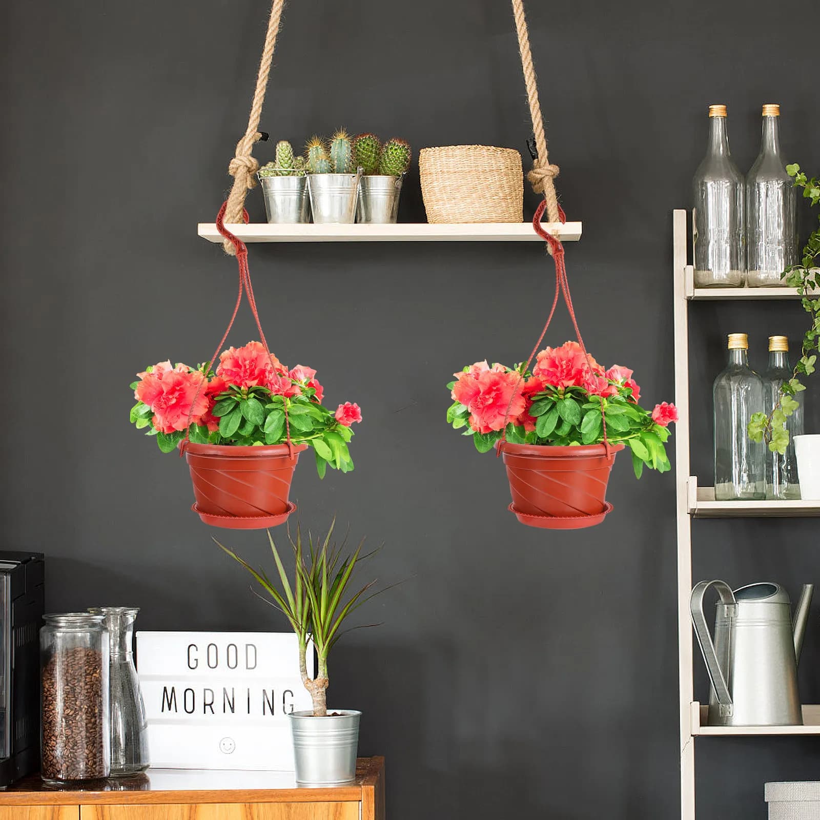 10 Set di Vasi Sospesi in Plastica per Piante e Fiori, Fioriere da Giardino per Decorazione Casa, Soggiorno, Camera da Letto, Finestra