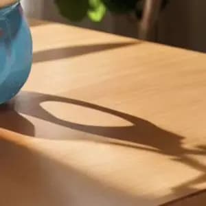 Vaso in Ceramica a Forma di Volpe per Piante Grasse, Contenitore Multifunzione per Bonsai con Foro di Drenaggio, Vaso da Giardino per Interni ed Esterni