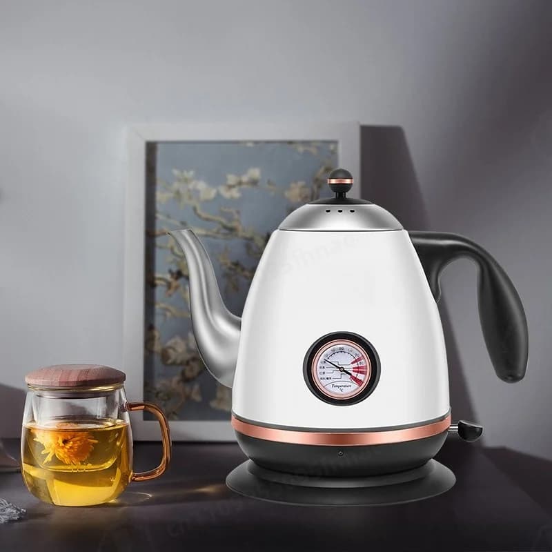 Mini Stainless Steel Electric Kettle with Temperature Display 1.2L