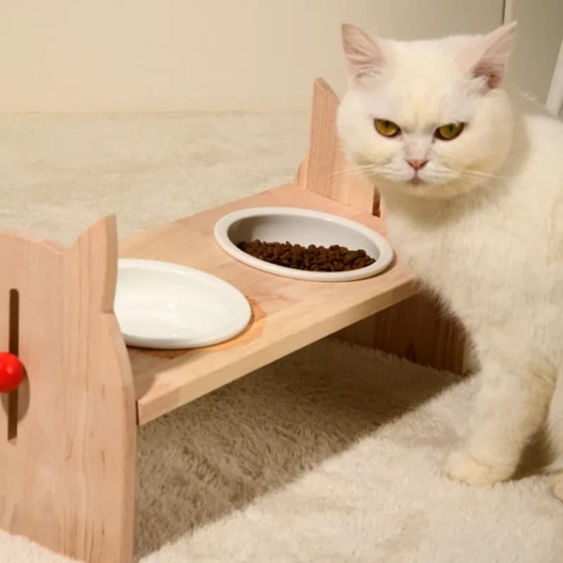 Ciotole per alimentazione in ceramica per animali domestici Staffa in legno regolabile in altezza Dispenser d'acqua per gatti Alimentatore per cani Contenitore per alimenti per cuccioli di gattino domestico