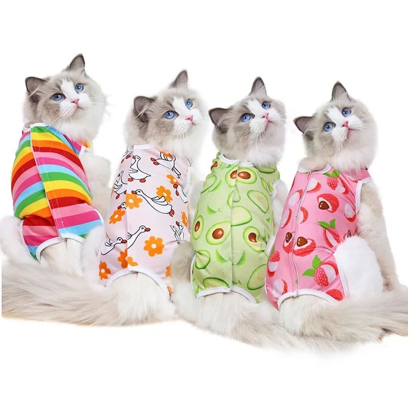 Abbigliamento per riabilitazione chirurgica per animali domestici in cotone Abbigliamento per gatti post-operatorio Tuta di protezione per il recupero dei gatti Gilet per gattini Accessori per gatti