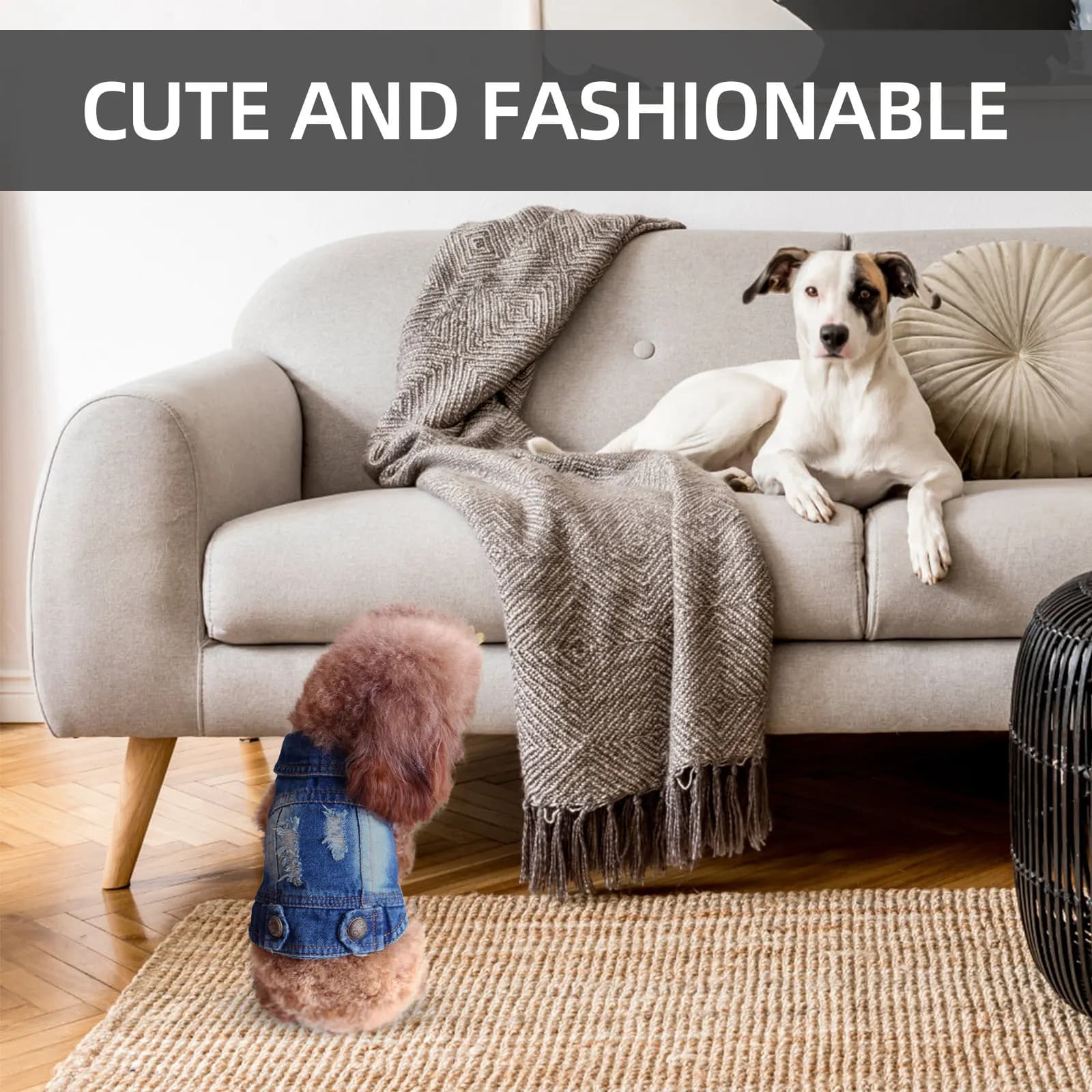 Gilet in Denim per Cani di Piccola e Media Taglia, Giacca Senza Maniche alla Moda per Cani, Protezione Post-Trattamento, Regalo Elegante e Fresco