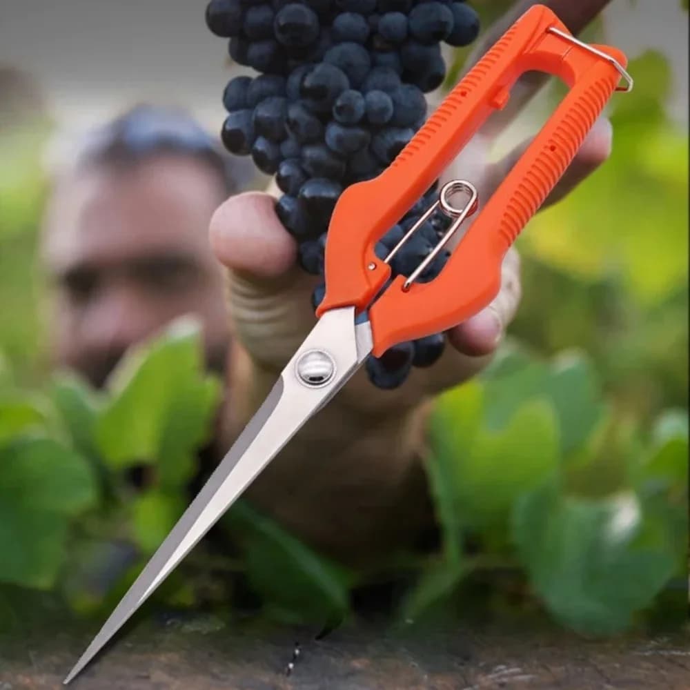 Straight-headed fruit scissors Handle Cutting scissors Stainless steel pruning tools Garden flower cutting and fruit tree branches