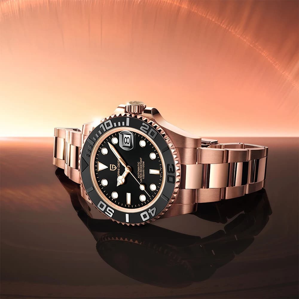 PAGANI DESIGN Men's luxury mechanical watch waterproof stainless steel with ceramic swivel bezel working watch + gift box