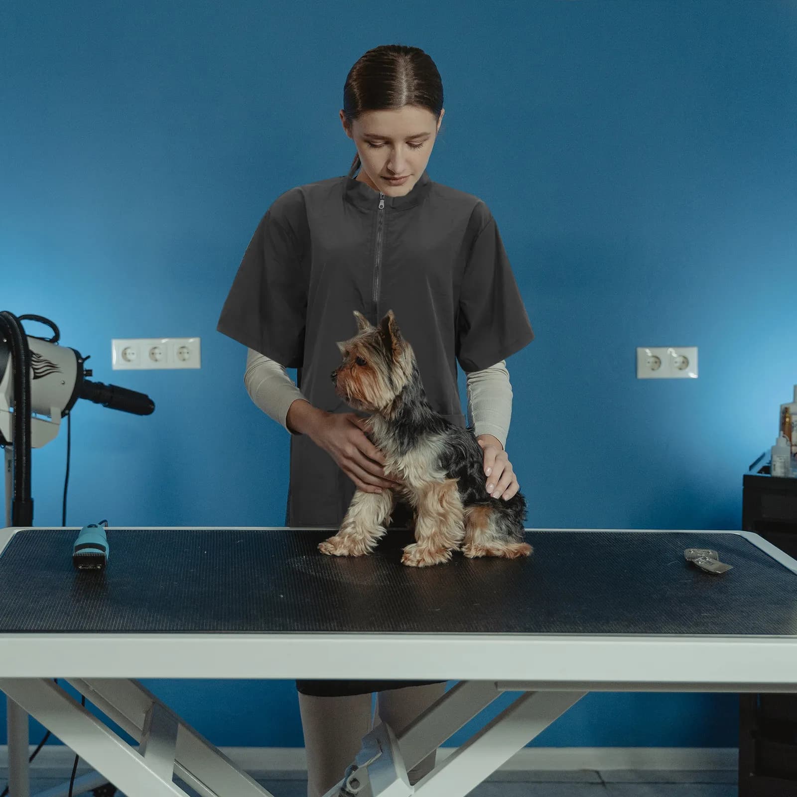 Grembiule Impermeabile in Nylon per Toelettatura Animali Domestici, per Negozi di Animali, Saloni, Estetisti, Abbigliamento da Lavoro per Cani e Gatti, Nero L
