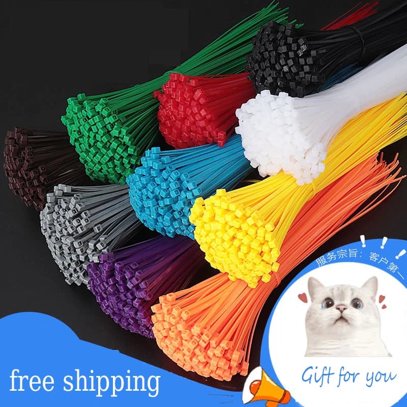 12 colors 3 * 100MM 100 / bag width 2.5 MM strong plastic cable ties with self-locking nylon cable ties International standards
