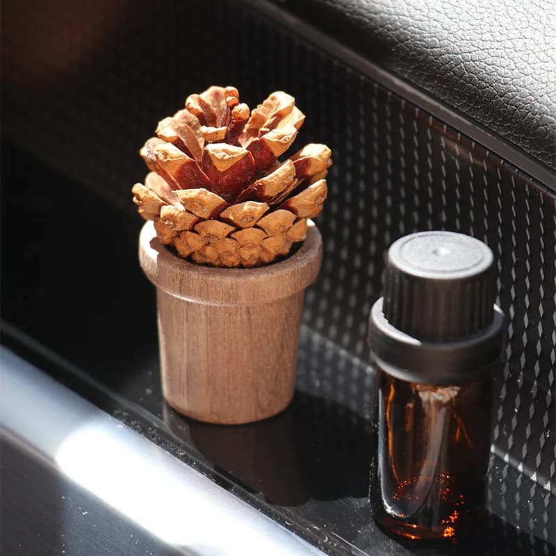 Wooden Nut Essential Oil Diffuser Car Air Freshener Aromatherapy Natural Wood Scent Desktop Ornament