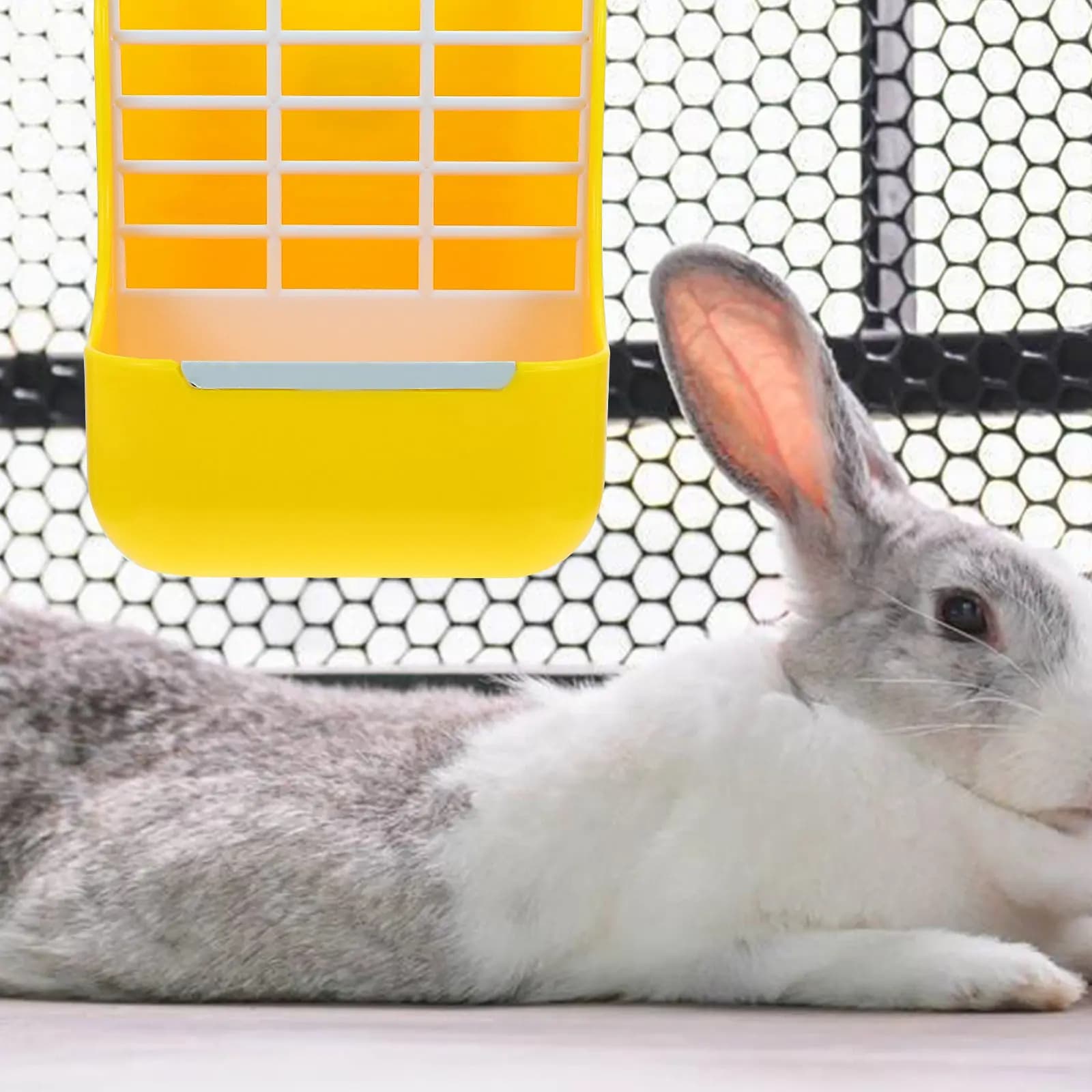 Mangiatoia per Conigli in Plastica 2in1, Porta Fieno e Ciotola per Cibo, Accessori per Gabbie, Design Stabile Giallo, per Alimentazione Prolungata dei Conigli