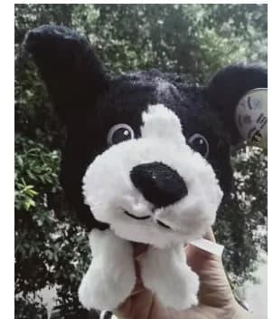 2024 Nuovo Cartone Animato Foresta Animale Peluche PIOTRUS Frania KSENIA Stefek Julka Farcito Bambole Morbide Per I Bambini Regalo Di Compleanno