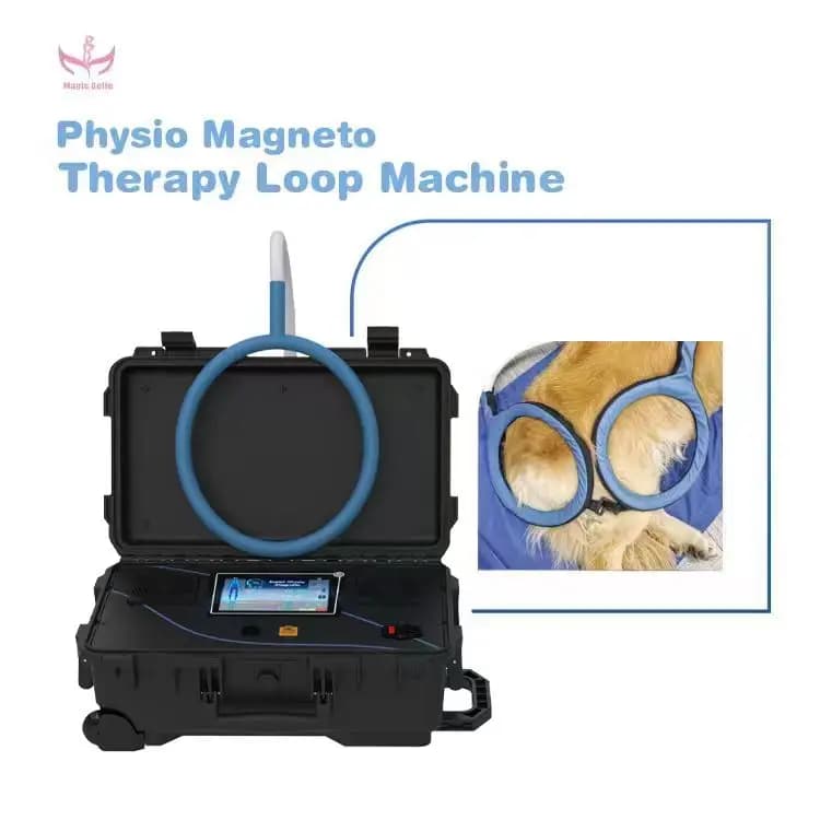 Magicbelle Apparecchio multifunzionale per la riabilitazione degli animali domestici veterinario Efficace Gatti Cani Grande strumento per alleviare il dolore Raschiando