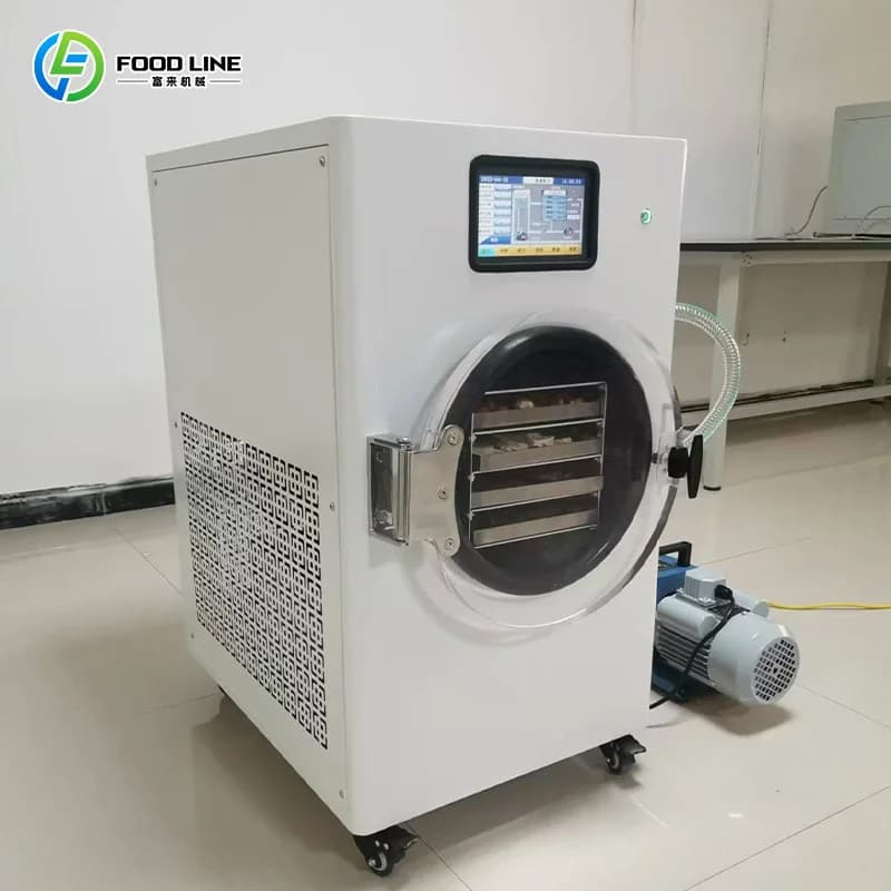 Macinatore Personalizzato a Risparmio Energetico per Alimenti Liofilizzati, Frutta, Verdura, Mele, Fragole in Polvere