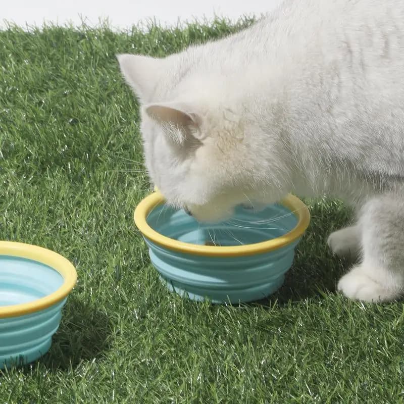 Ciotola pieghevole per cani da 350 ml - Ciotola portatile da viaggio per cibo e acqua per animali domestici con gancio a morsetto, piatto pieghevole per l'alimentazione, per cani e gatti