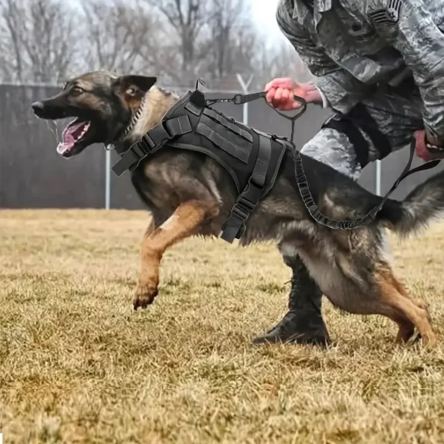Outdoor Dog Vest Puppy Harness Tactical Training Dog Coat Medium Large Dogs gilet pettorina Bungee guinzaglio Lead Training Running