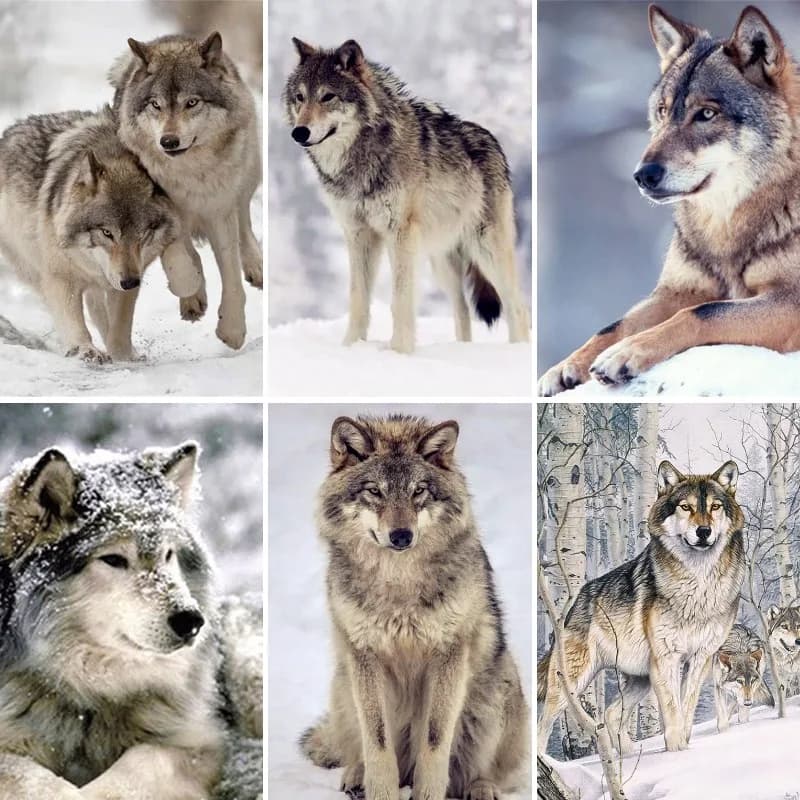Full Square Diamond Painting Winter Wolf Diamond Embroidery Animal Mosaic Art Rhinestone Picture Needlework Home Decor