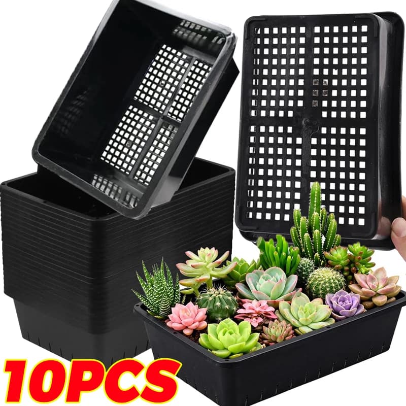 Seed Starter Trays Greenhouse Growing Mesh Basket Pots Plastic Garden Mesh Bottom Plant Germination Trays for Vegetables Flowers