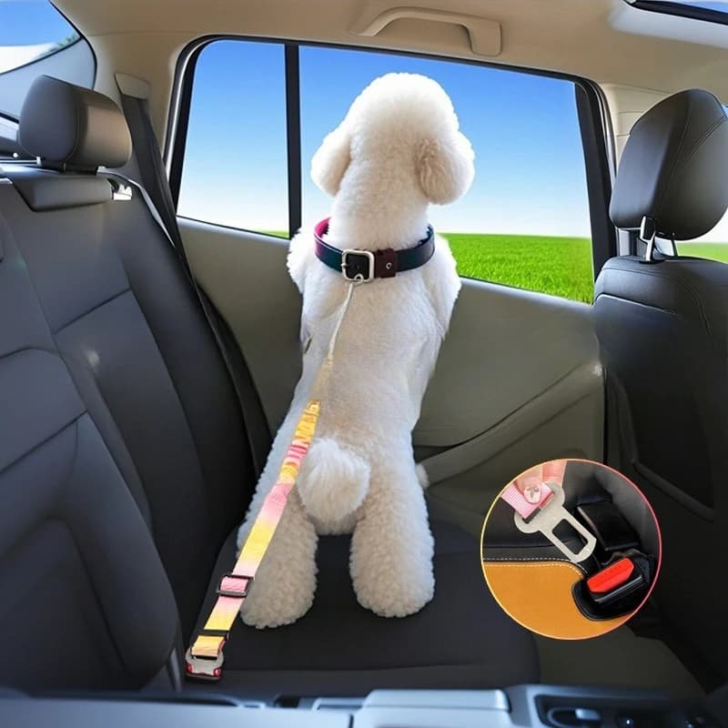 1 Pezzo Imbracatura di Sicurezza per Animali Domestici con Guinzaglio Elastico Retrattile per Gite, Restrizione Elastica Estensibile per Sedili Auto di Cani/Gatti