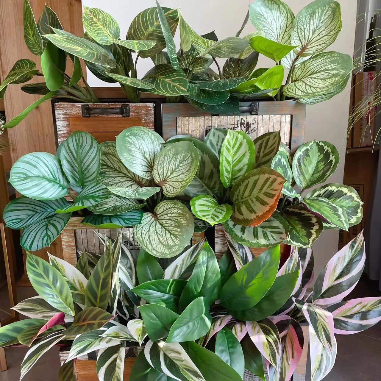 Faux Plants Apple leaves Evergreen peacock leaves Plant Home decor Artificial green plants plastic garden decoration green