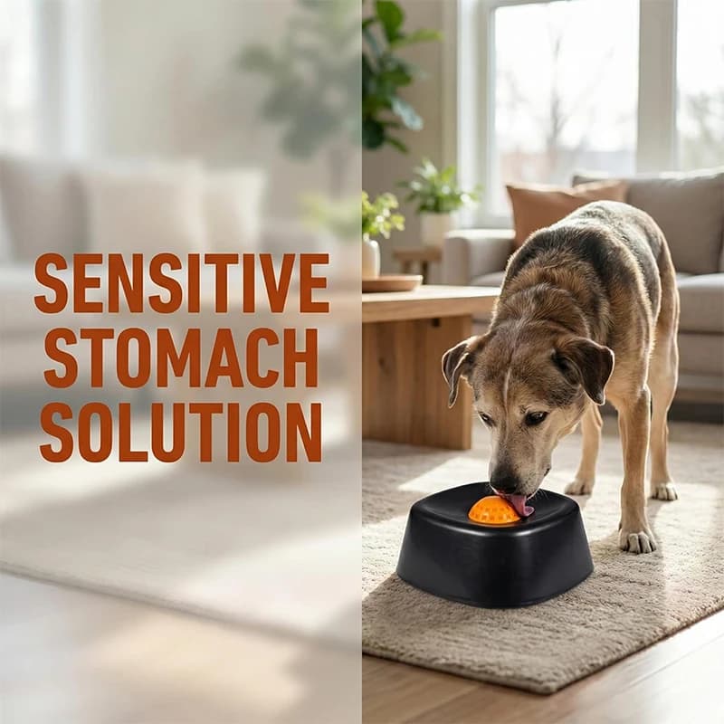Ciotola Lenta per Alimenti per Animali Domestici, Giocattolo per Cani, Ciotola Anti-ingozzamento per Gatti e Cani, Ciotola per Acqua, Design per un'Alimentazione Sana, Ciotola per Zuppa di Ossa e Yogurt per Animali Domestici