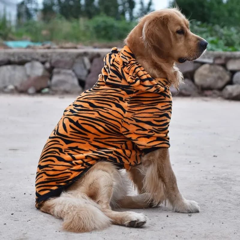 Bellissimo cappotto per cani per cani di taglia media Felpa con cappuccio di Halloween per cani da compagnia Cappotto primaverile Dinosauro Pullover a due zampe Abbigliamento Costume per cani