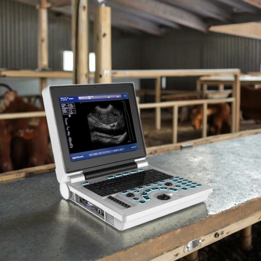 Portable Veterinary Diagnostic Imaging Machine Effective Portable Ultrasound Probe Clinic Equipment Sale Competitive Warranty