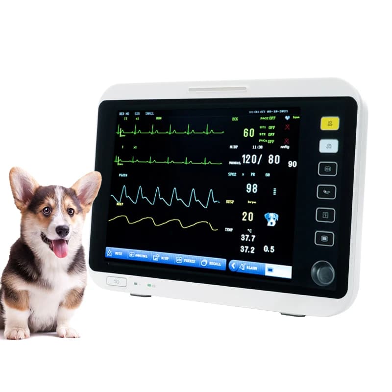 Monitoring Veterinary Equipment Patient Blood Pressure Pulsossimeters