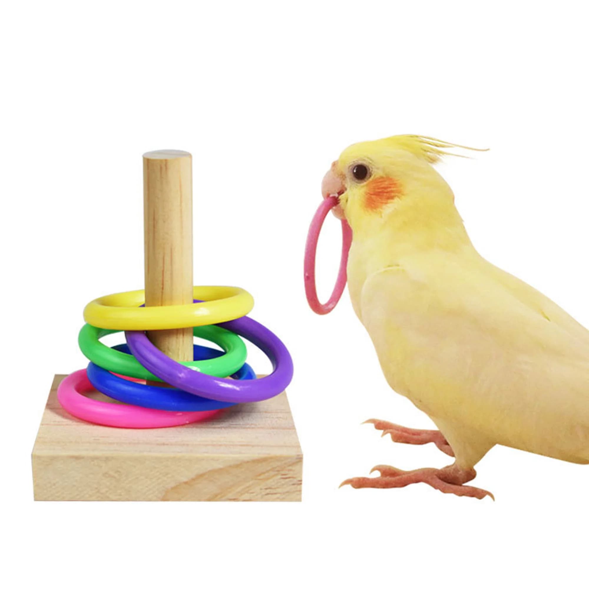 Set di giocattoli per l'addestramento degli uccelli giocattoli di Puzzle a blocchi di legno per pappagalli anelli di plastica colorati formazione di intelligenza giocattolo da masticare forniture per uccelli