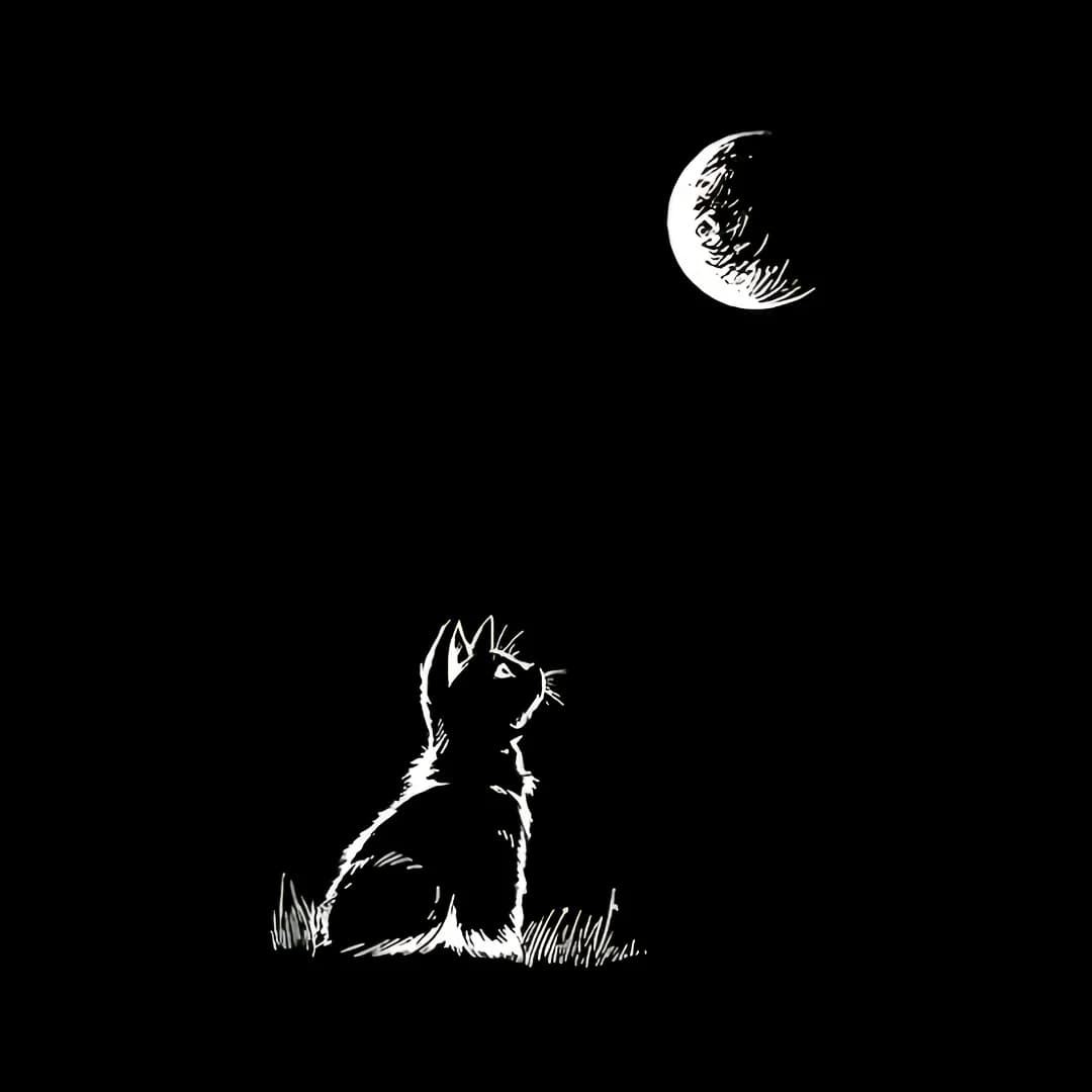 Wall decal DTF theme cat and moon, washable thermoadhesive decals suitable for shirts, masks, jeans, backpacks