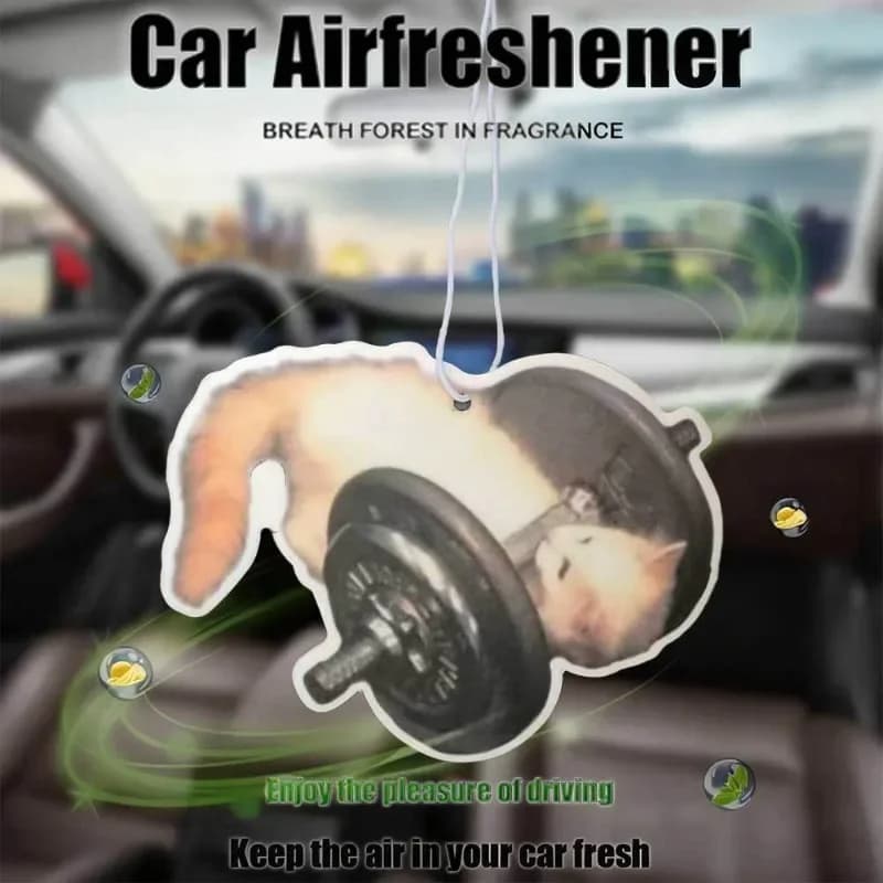 Oh mio dio, guardare, qui puoi vedere un gatto che lavora, stoccare, aromaterapia per auto, deodorante per ambienti