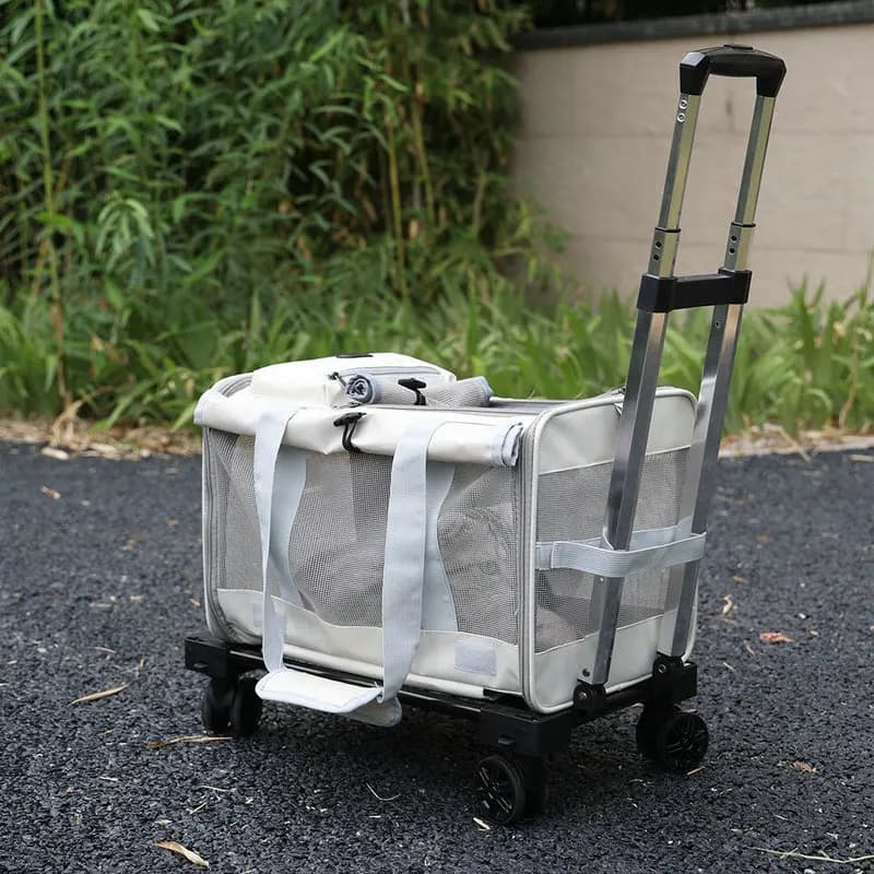 Passeggini per animali domestici da esterno su ruote Passeggini di lusso per cani di piccola taglia Viaggi economici Simpatico carrello pieghevole per animali domestici Traspirante