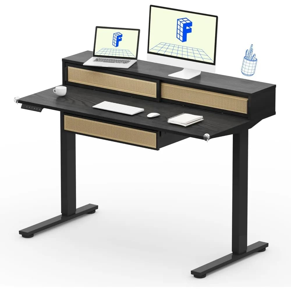 Scrivania in piedi monopezzo con cassetti in rattan, altezza regolabile 48 x 24 pollici, tavolo elettrico stand up con ripiano per monitor, casa O