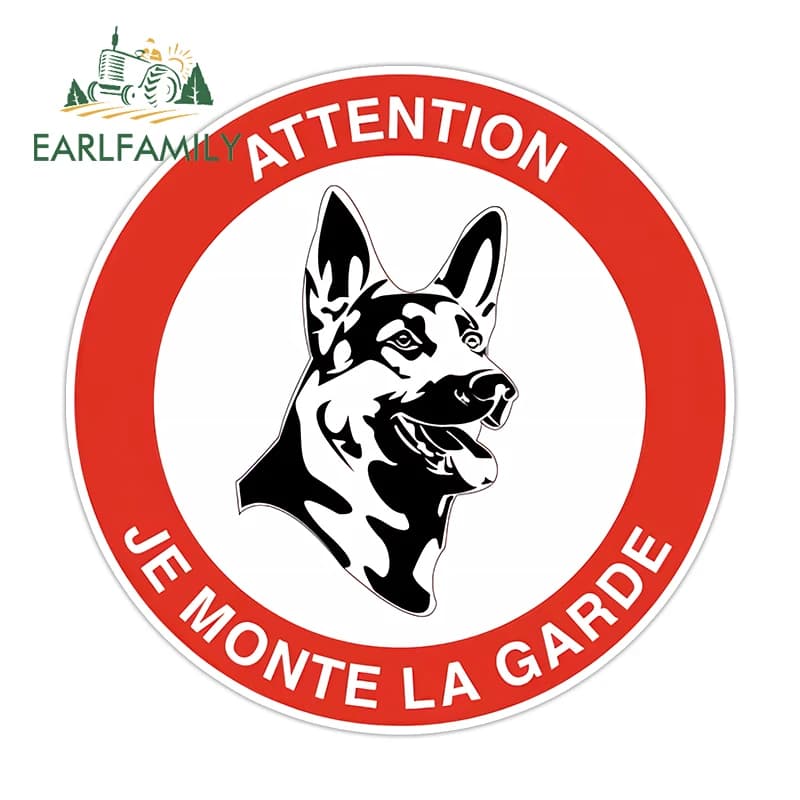 EARLFAMILY Adesivi per auto con allarme video e accesso vietato, decorazioni creative per auto, adesivi per copertura graffi, frigoriferi per auto