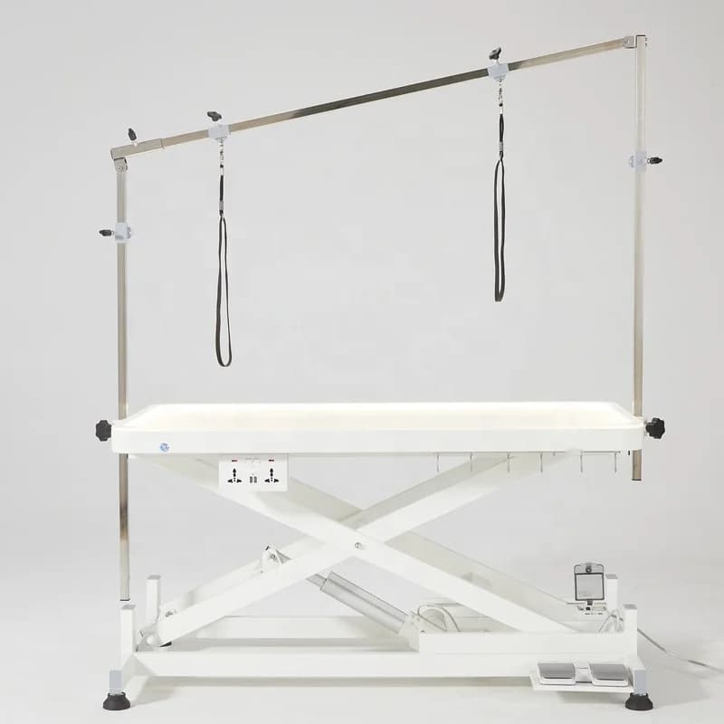 LED Electric Lift Pet Grooming Table with Illuminated Suitable for Large Dogs for Pet Grooming Salon