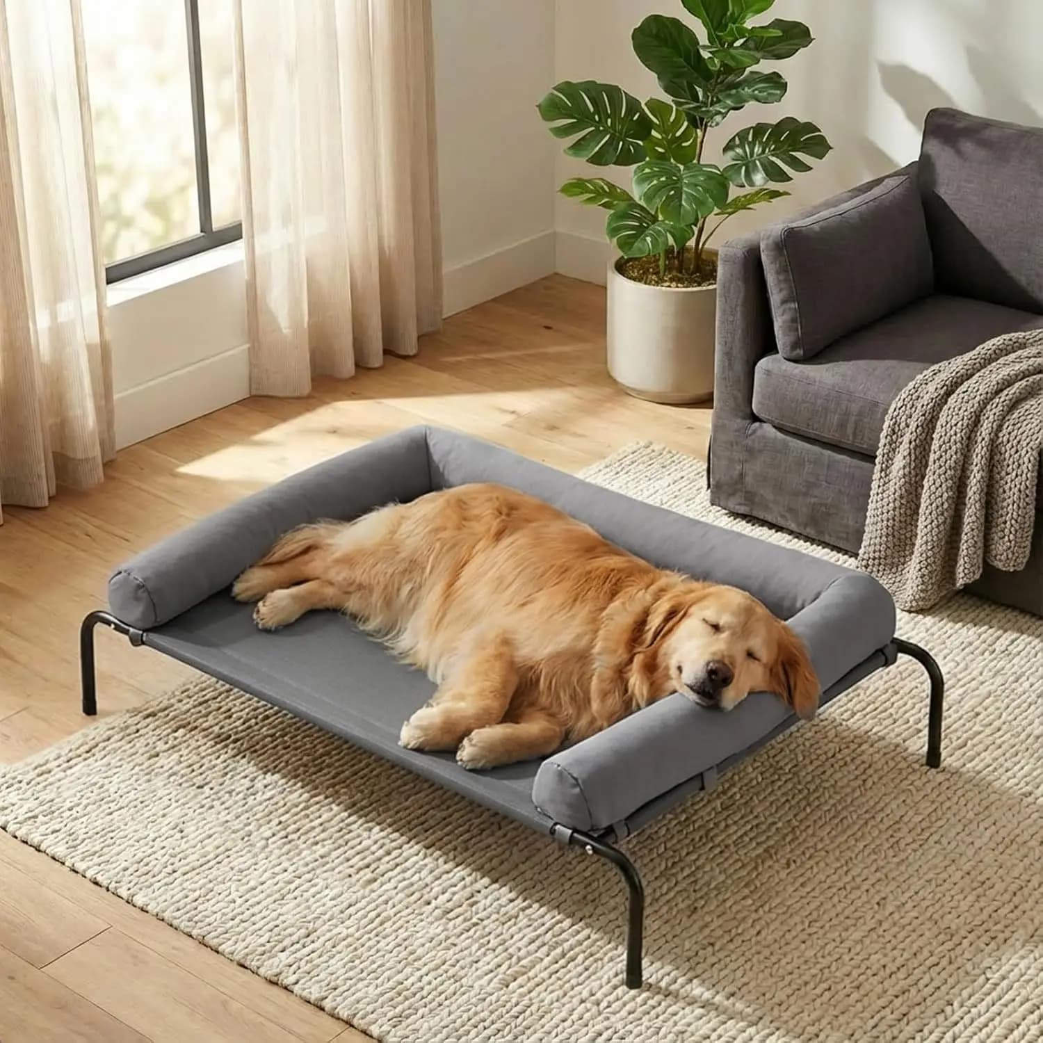 Cuccia Rinfrescante Rialzata Grande per Cani con Rete Traspirante, Anti-Morso e Portatile per Esterni