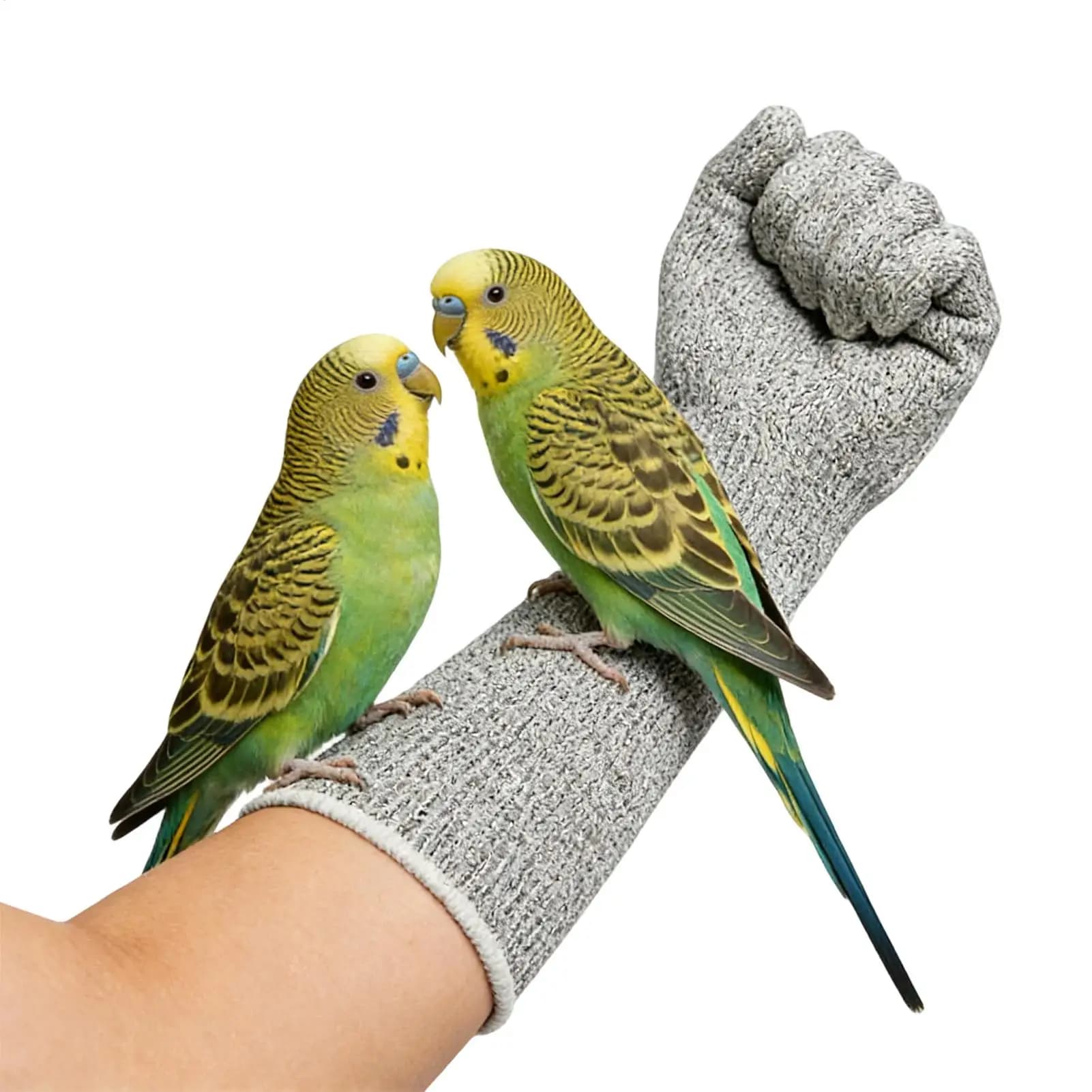 Pet Care Long Gloves Scratch Proof Arm Sleeves Resistant Bite Proof Mitte Pet Grooming Protection Guard For Parrot Cat Dog Birds