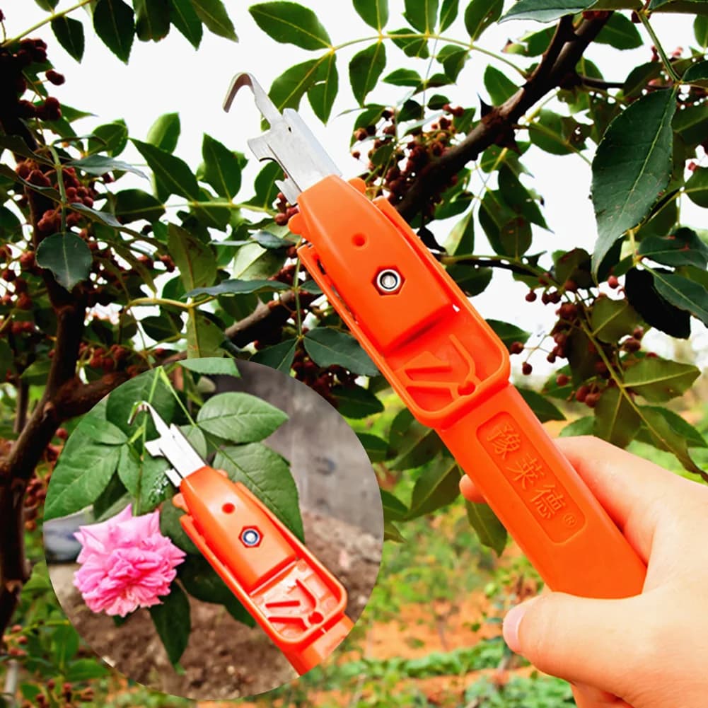Grape Picking Multifunctional Small Fruit Picking Trimmer Pepper Flower Branch Scissors Kitchen Chopping Gadgets Garden Supplies
