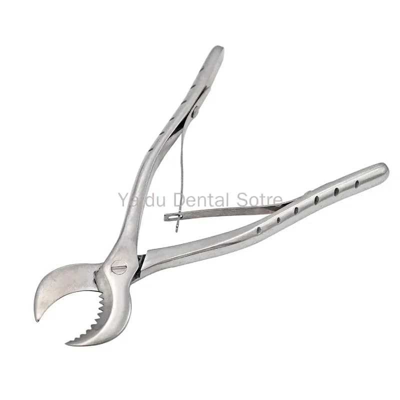 2 pezzi cesoie per gesso dentale cesoie dentista strumenti da laboratorio grandi pinze in acciaio inossidabile strumento forbici per gesso materiale