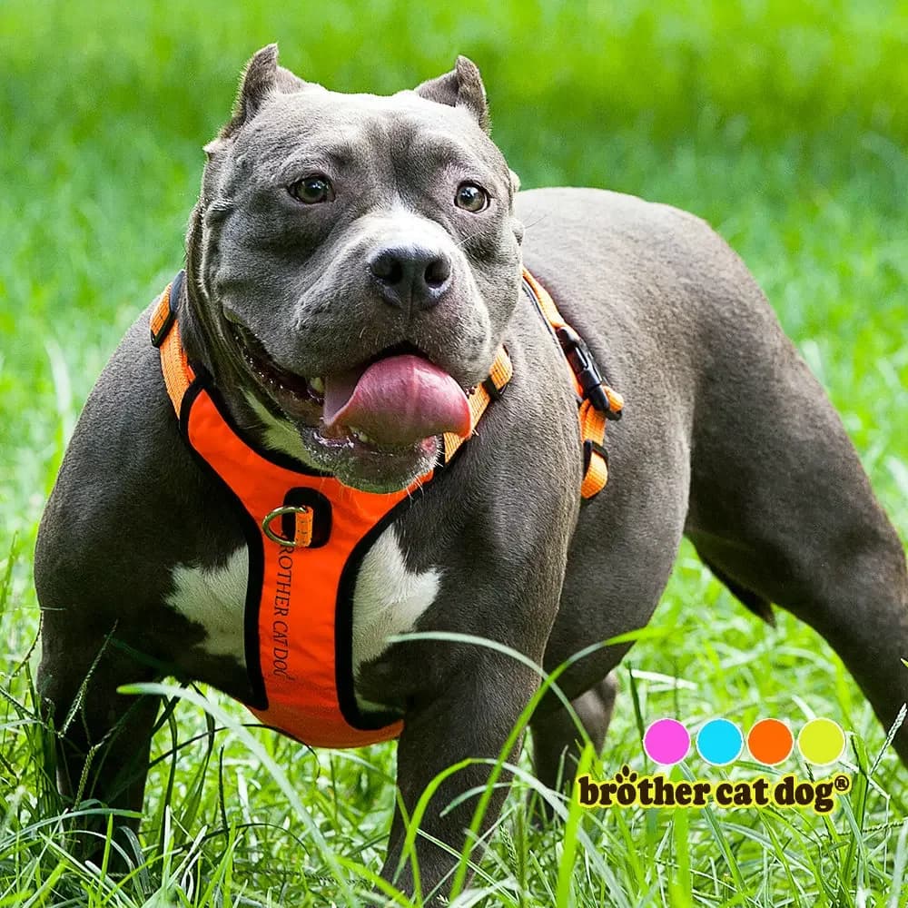 Padded Pet Dog Harness 3M Reflective Nylon Front Range Vest Harness Safety Vehicular Lead For Dogs Adjustable Straps Bulldog Pug
