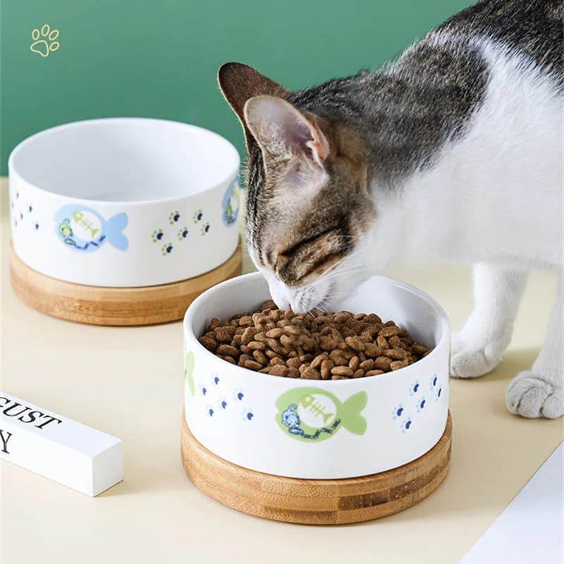 Ciotole per cani in ceramica Set Piatto con supporto in legno Ciotole per gatti rialzate Piatti per alimentazione per cani da compagnia Ciotola per mangiatoia per acqua per cani e gatti