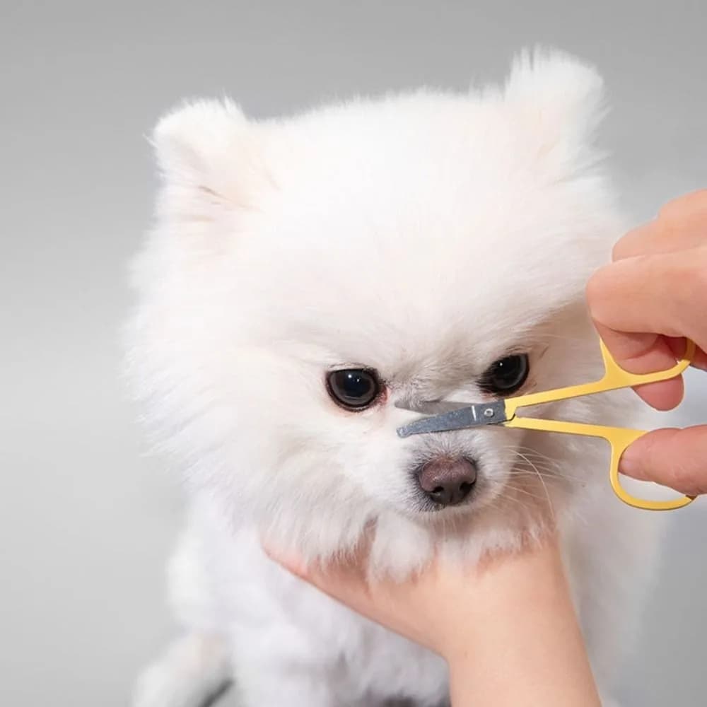 2 Set Fine Tooth Pet Facial Cleaning Comb Set Stainless Steel Safe Pet Tear Stains Comb Professional Pet Grooming Scissors
